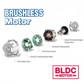 Brushless Motor (BLDC) and Electronic Torque Control (ETC)
